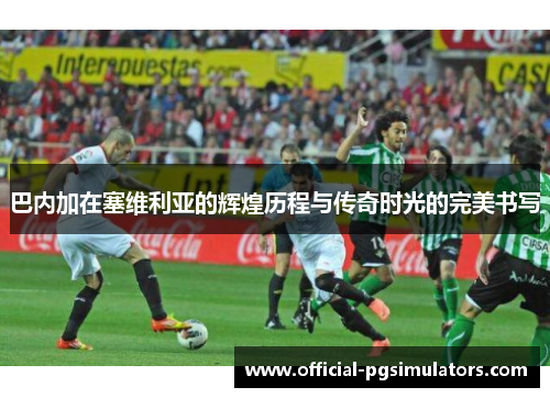 巴内加在塞维利亚的辉煌历程与传奇时光的完美书写