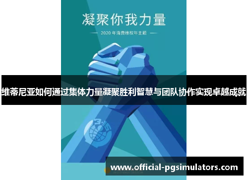 维蒂尼亚如何通过集体力量凝聚胜利智慧与团队协作实现卓越成就