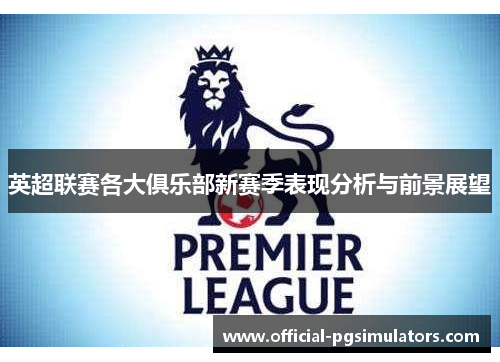 英超联赛各大俱乐部新赛季表现分析与前景展望
