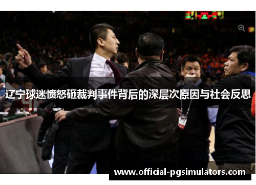 辽宁球迷愤怒砸裁判事件背后的深层次原因与社会反思 辽宁球迷愤怒砸裁判事件背后的深层次原因与社会反思