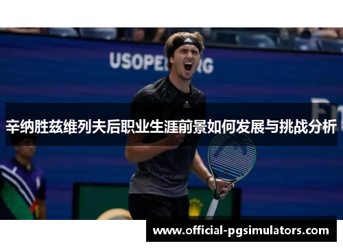 辛纳胜兹维列夫后职业生涯前景如何发展与挑战分析 辛纳胜兹维列夫后职业生涯前景如何发展与挑战分析